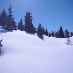 20150226-120620-024-N