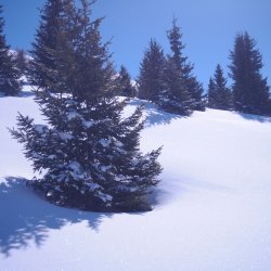 20150226-120629-025-N