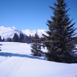 20150226-145006-045-N