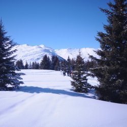 20150226-145016-050-N