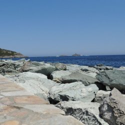 20140716-113358-001-N