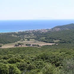 20140716-115654-001-M