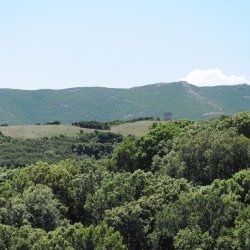 20140716-115854-001-N