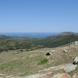 20140716-120606-001-N