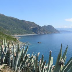 20140716-163542-001-M