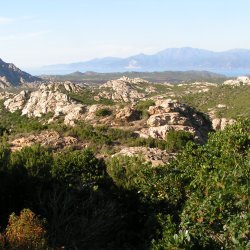 20140716-174216-001-M