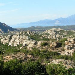 20140716-174227-001-M