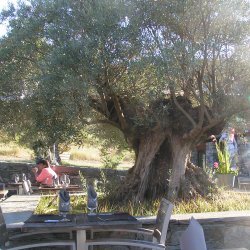 20140716-184122-001-M