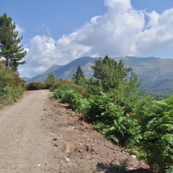 20130711-113014-001-N