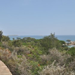 20130719-155852-001-N