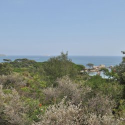 20130719-155858-001-N