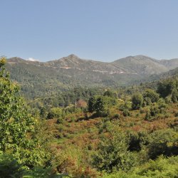 20130721-104828-001-N