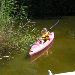 20100718-163250-001-M