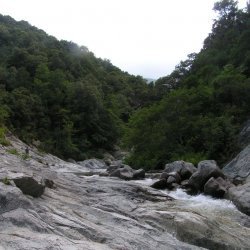 20100720-182934-001-M