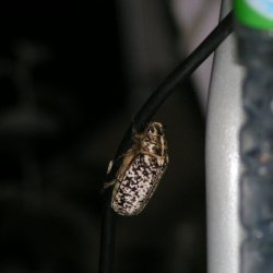 20100722-224046-001-M