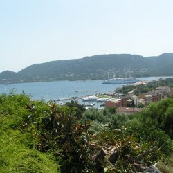 20100723-123124-001-M