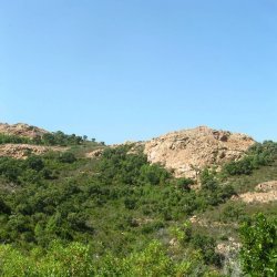 20100723-163028-001-M