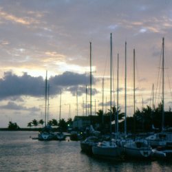 198709 - Guadeloupe - 014