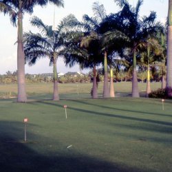 198709 - Guadeloupe - 018