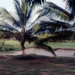 198709 - Guadeloupe - 019
