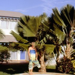 198709 - Guadeloupe - 025