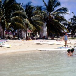 198709 - Guadeloupe - 026