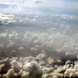 198709 - Guadeloupe - 032