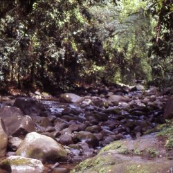 198709 - Guadeloupe - 034