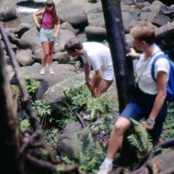 198709 - Guadeloupe - 036