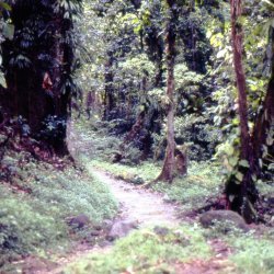 198709 - Guadeloupe - 037