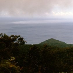 198709 - Guadeloupe - 038