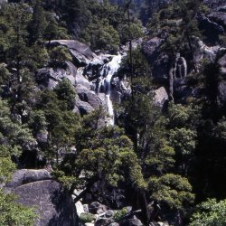 199807-Californie-0040