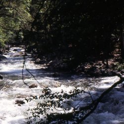 199807-Californie-0049