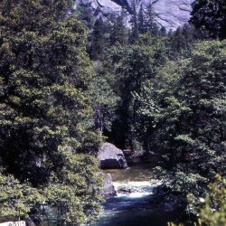 199807-Californie-0050