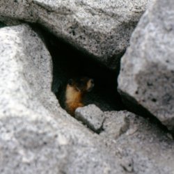 199807-Yosemite-0030