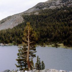 199807-Yosemite-0036